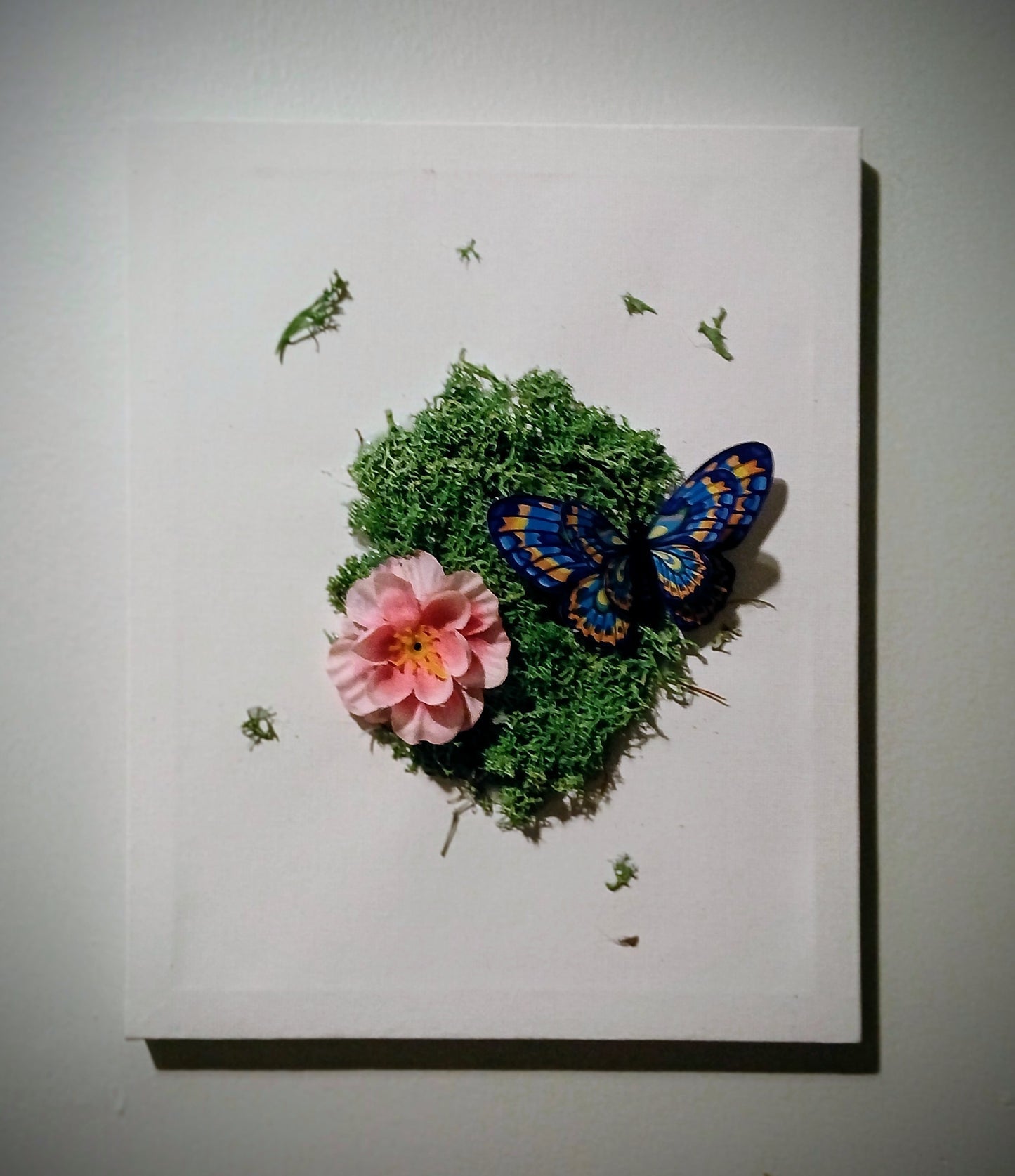 4D-Butterflies in the Garden