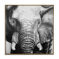 Abstract elephant oil painting | Looking forward to